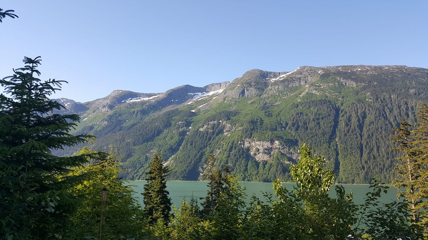View of Lutak Inlet